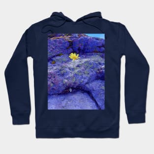 Yellow Flower in the Blue Rocks Hoodie